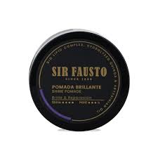 POMADA BRILLANTE X 50 ML